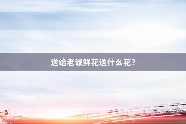 送给老诚鲜花送什么花？