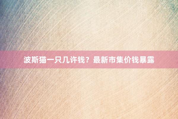 波斯猫一只几许钱?最新市集价钱暴露